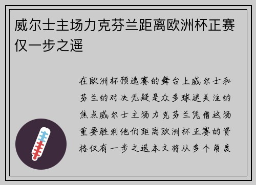 威尔士主场力克芬兰距离欧洲杯正赛仅一步之遥 威尔士主场力克芬兰距离欧洲杯正赛仅一步之遥